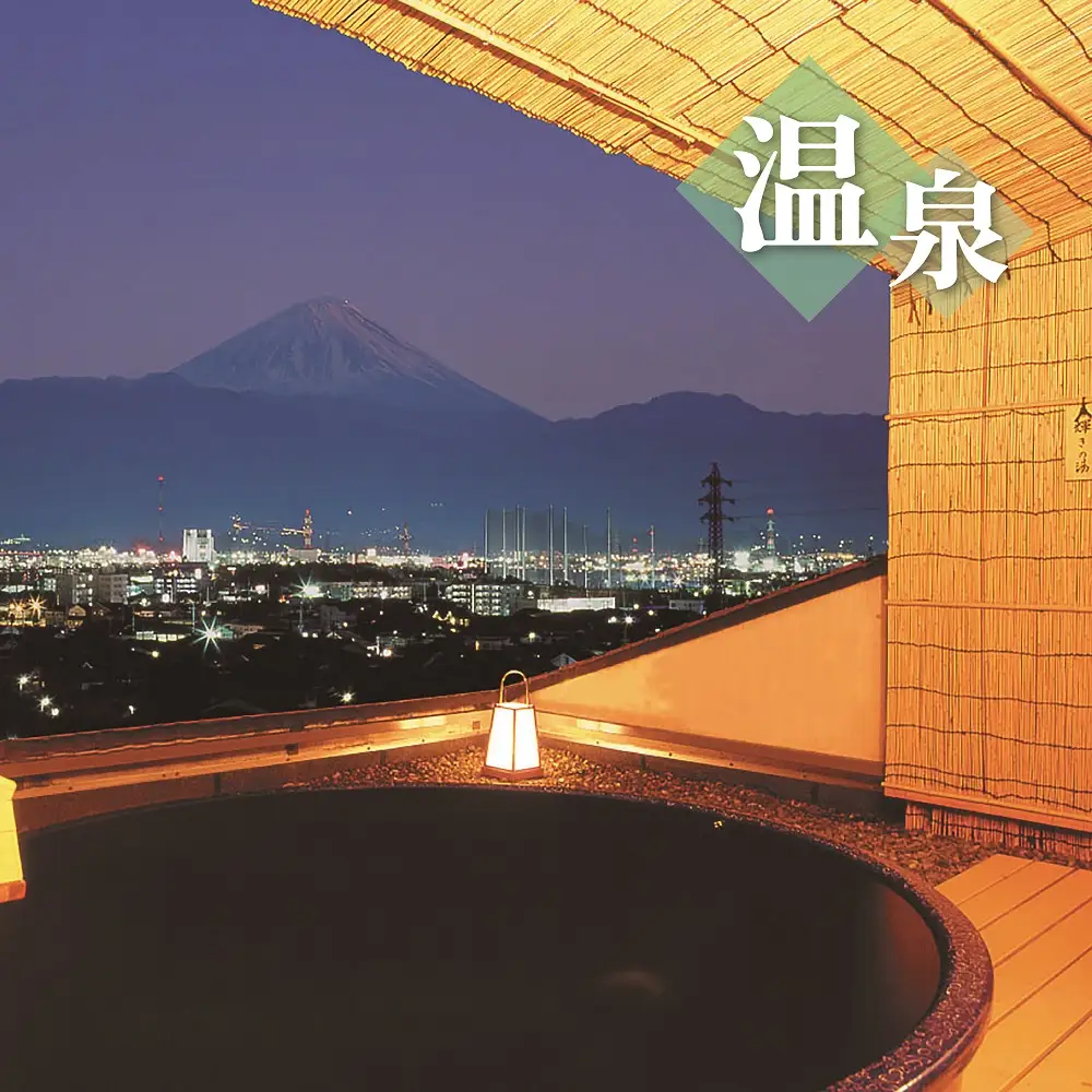 温泉満喫！洋室素泊り宿泊券 [山梨 温泉 宿泊 貸し切り露天風呂]