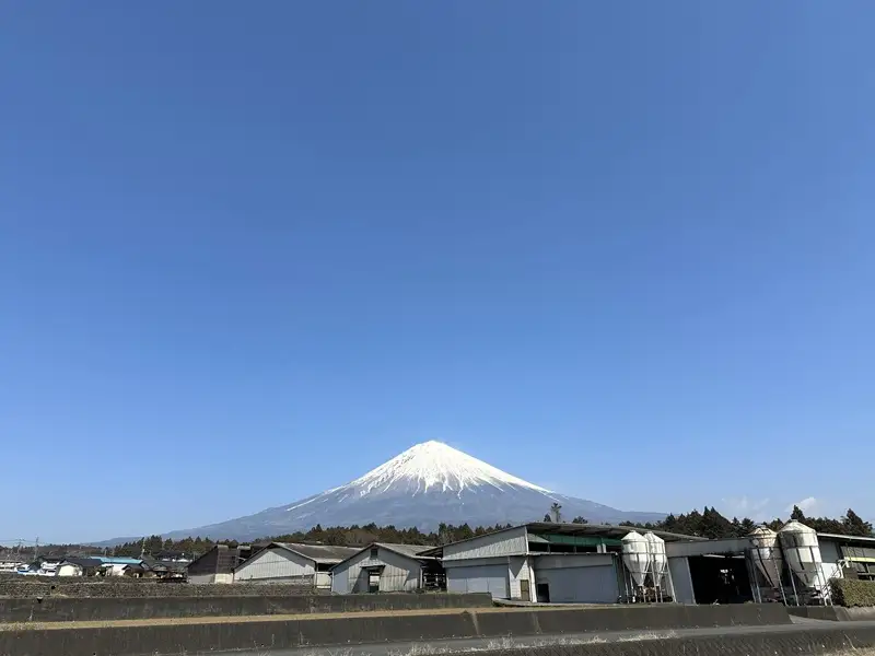 0012-110-01 富士山竹川牛 リブロース すき焼き・しゃぶしゃぶ 250g
