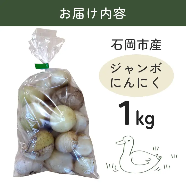 ジャンボにんにく 1kg にんにく 産地直送 茨城県 石岡市 B03-016