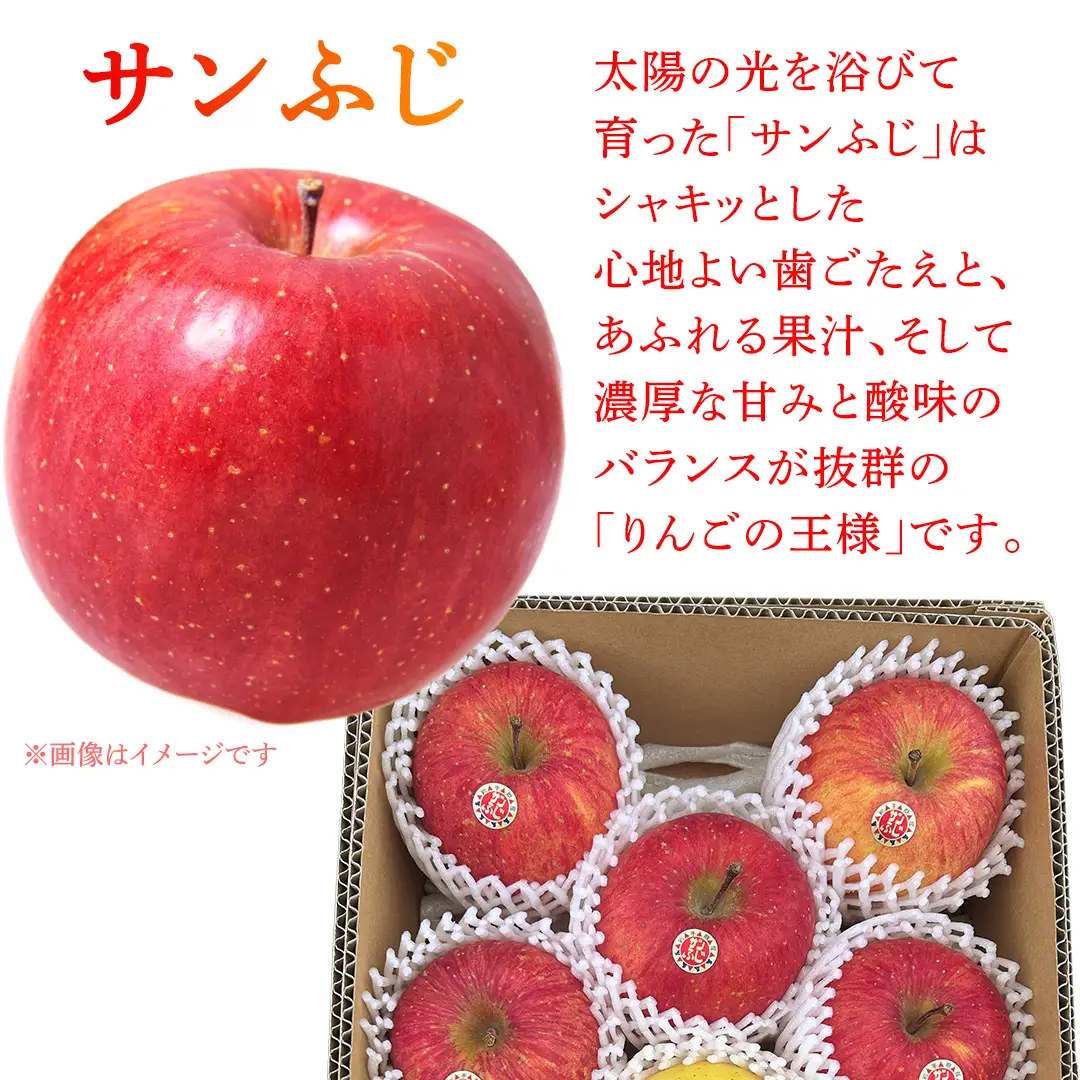 りんご 2種 詰め合わせ 約2.5kg (FB002)