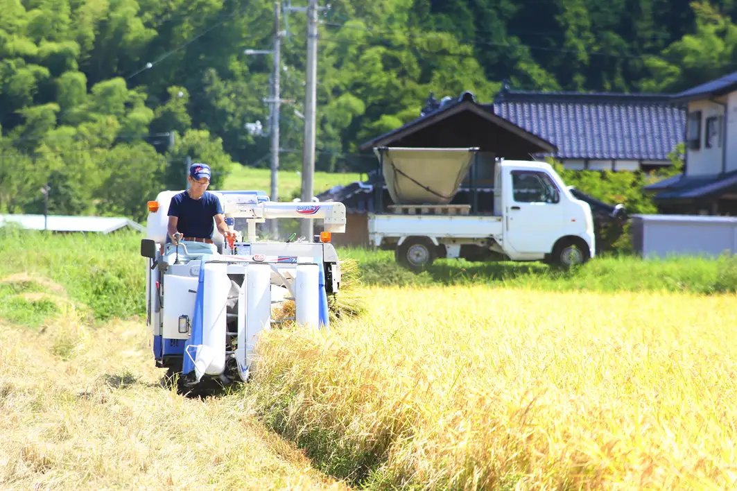 米 白米 R8年産 あさごの月あかり 5kg【9月中旬発送開始】AS2BD29-5