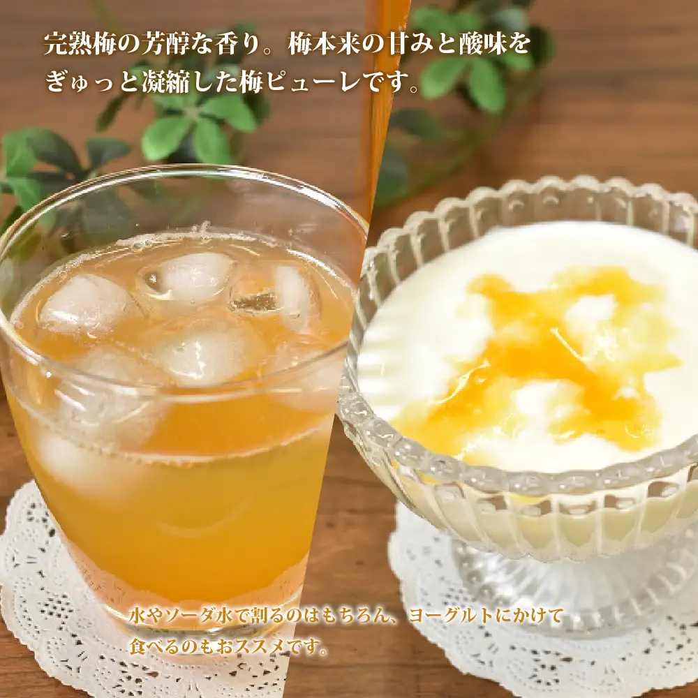京都丹波産 柚子・梅ピューレ 「YUZUUME」 完熟梅 無添加 5倍希釈 315ml × 1本