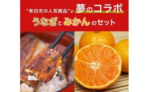 【コラボ】国産うなぎ蒲焼き大サイズ２本セット(うなぎの肝吸い2食付き)＆有田みかん「未来への虹」（5kg）(B1125-1)