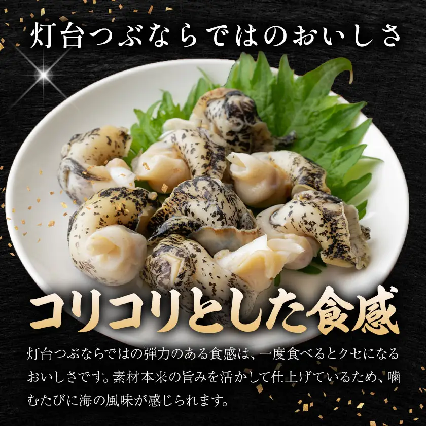 貝類 灯台つぶ 300g 100g 200g 各1 北海道産 コリコリ食感 石崎水産