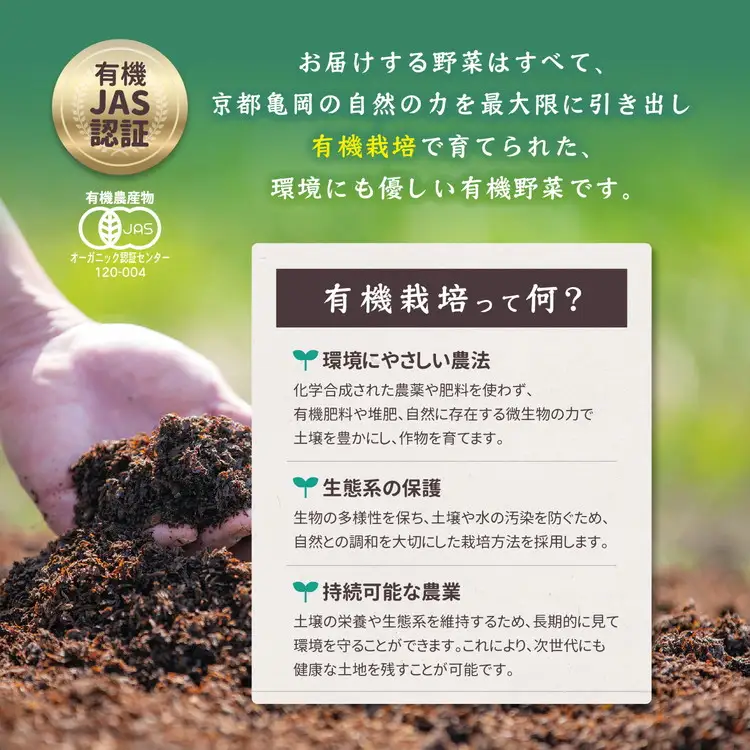 京野菜セット 定期便 5回 30kg オーガニック
