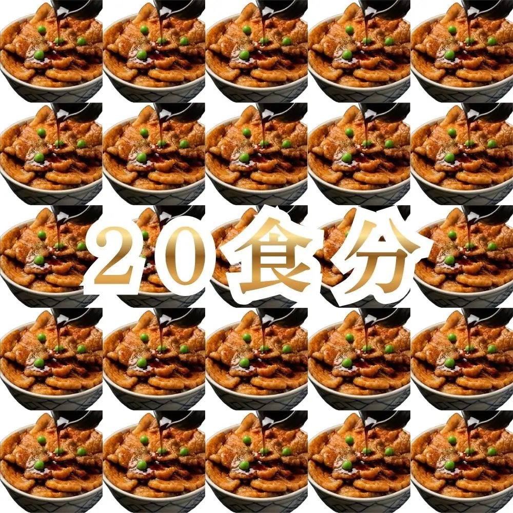 【1月配送】ホクレン 北海道のぶた丼 （2食入り）250g×10袋 北海道産 豚肉使用 産地直送 冷凍