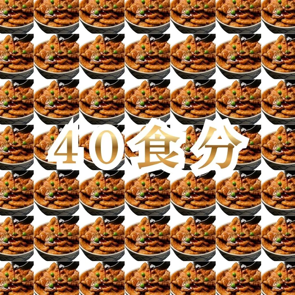 【1月配送】ホクレン 北海道のぶた丼 （2食入り）250g×20袋 北海道産 豚肉使用 産地直送 冷凍