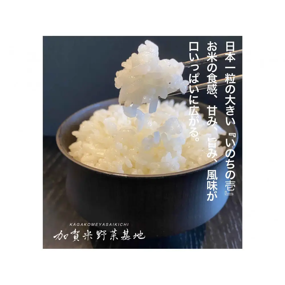 《令和8年産 新米 先行予約》「6ヶ月定期便」【お米グランプリ3部門受賞】＜有機JAS認証米＞日本一粒の大きいお米『いのちの壱』白米2kg×6回