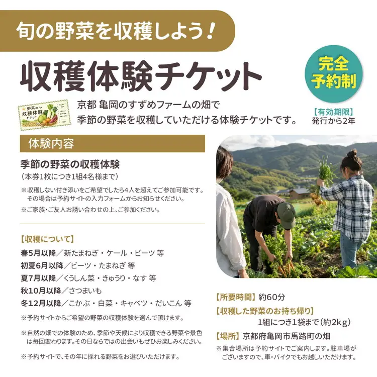 京野菜セット 定期便 5回 30kg オーガニック 野菜収穫体験付き