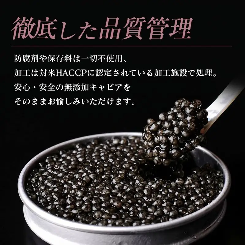宮崎キャビア1983 20g 魚卵 魚介 魚貝 国産_GE18-26