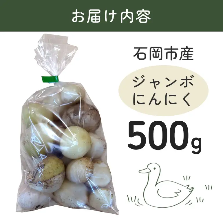 ジャンボにんにく 500g にんにく 産地直送 茨城県 石岡市 B03-015