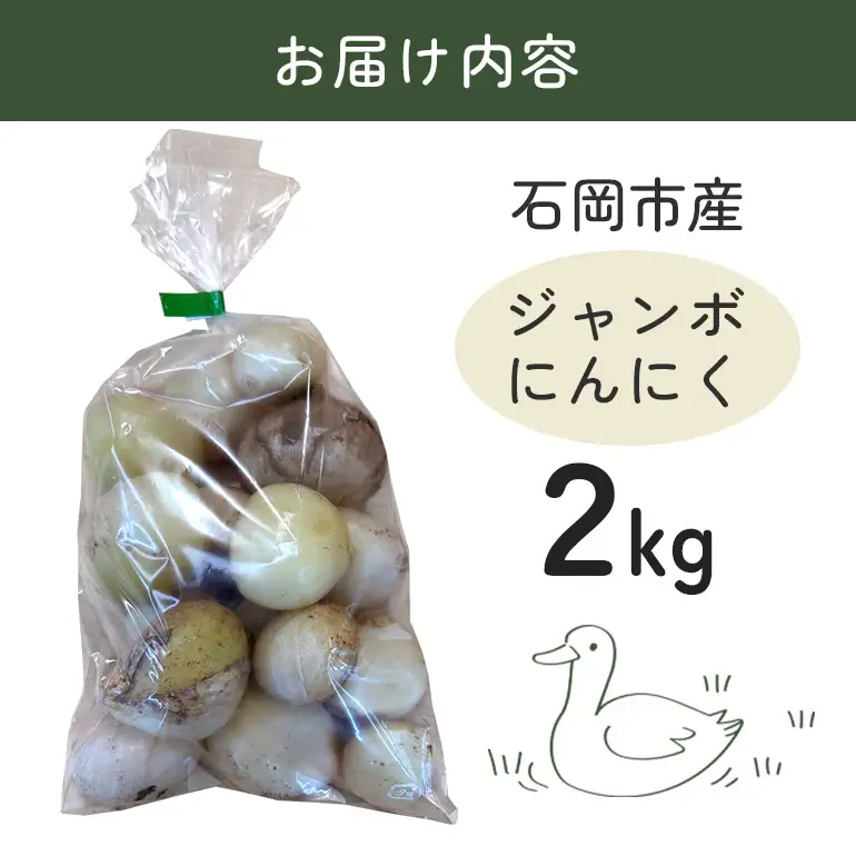 ジャンボにんにく 2kg にんにく 産地直送 茨城県 石岡市 B03-017