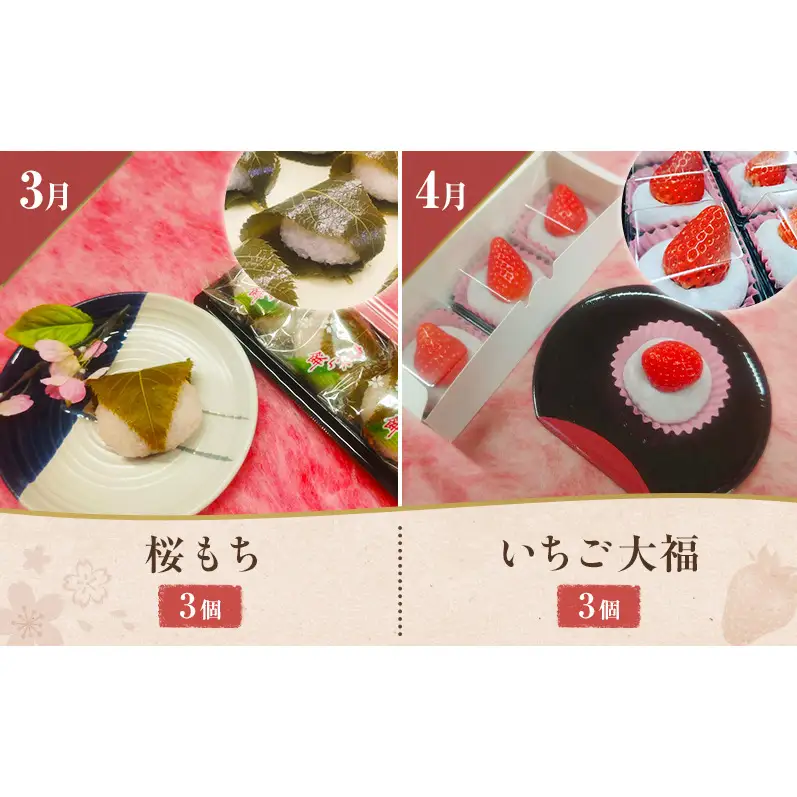 【1月配送開始】老舗「菓匠あさおか」季節を味わう和洋菓子12か月定期便 お菓子 和菓子 洋菓子 定期便 梅衣 栗むし羊羹 生クリーム大福 チーズケーキ 手作り 厳選 贅沢 森町 静岡県