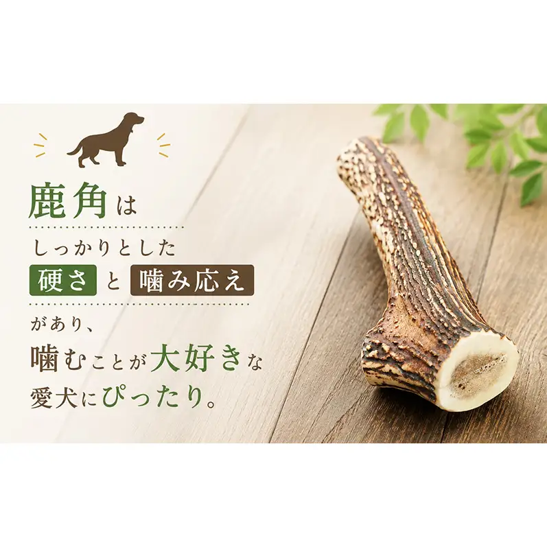 「克じぃの店」の愛犬用鹿角カット（小） おもちゃ ペット用 犬 静岡県 森町
