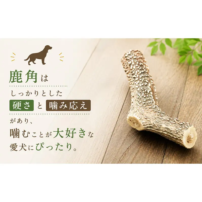 「克じぃの店」の愛犬用鹿角カット（大） おもちゃ ペット用 犬 静岡県 森町