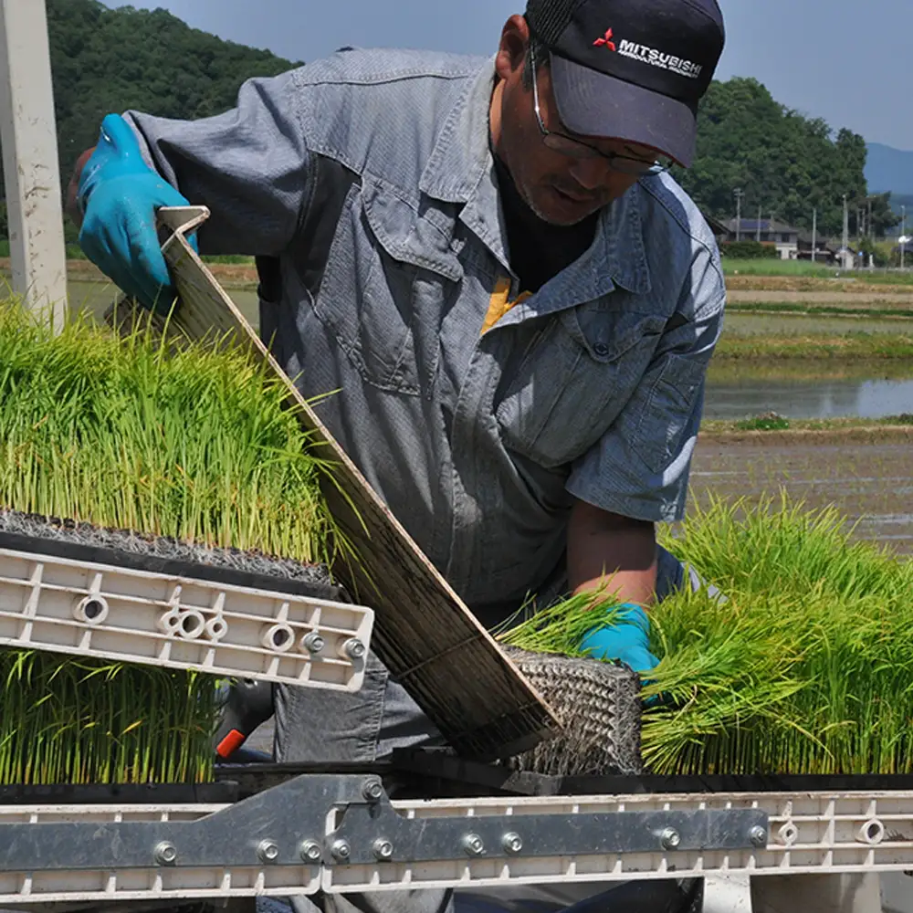 新米 令和8年度産 但馬産 コシヒカリ出石渓流米 5kg ～若手生産者限定・応援プロジェクト～
