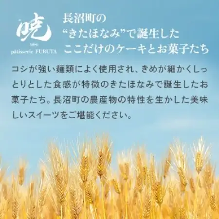 【2026グランプリ受賞】さっぽろneoチーズケーキ 2個【暁 patisserie FURUTA】【配送不可地域：離島】【1740599】