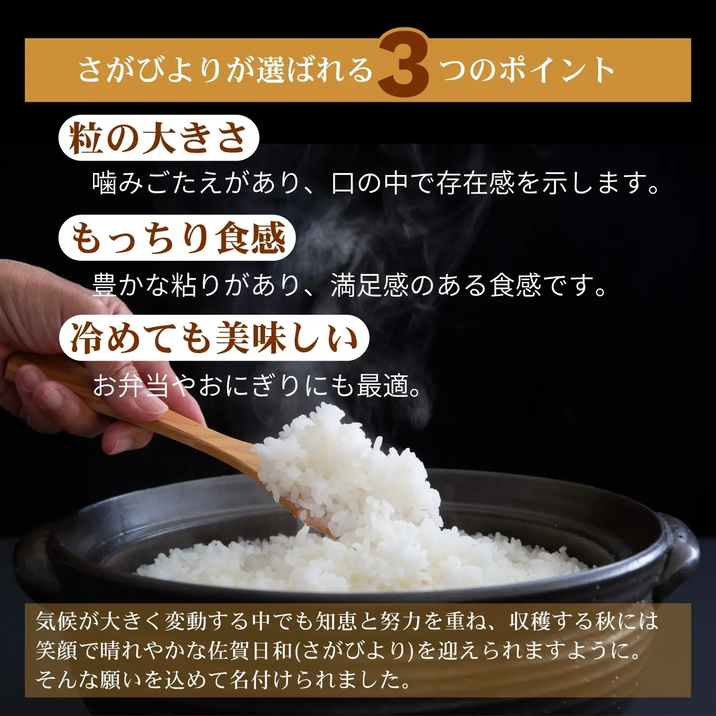 【先行予約】【新米】令和8年 佐賀県産「さがびより」10kg ：B160-056