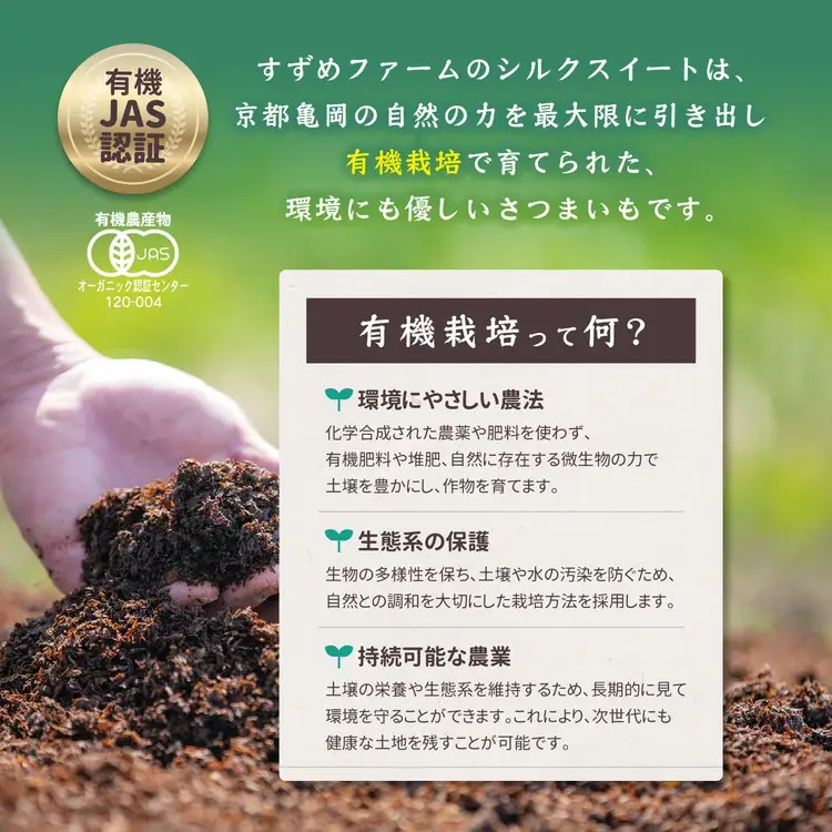さつまいも 3kg 紫芋 ふくむらさき オーガニック