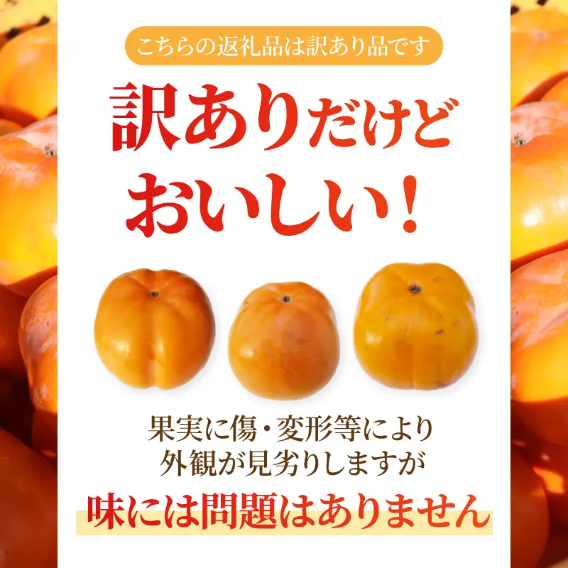 【先行予約】2026年度発送 玉城町産玉城次郎柿 訳あり品 約10kg (クレジット申込限定)