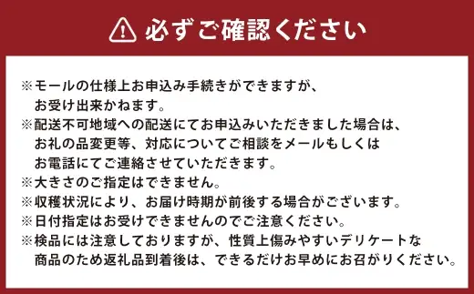 ＜ R8年熊本地震復興支援 ＞熊本市産 大玉西瓜 ブラックジャック 1玉入り 5キロ以上 スイカ すいか 西瓜 果物 くだもの フルーツ 大玉 果実 果肉 高級 国産 熊本県産 【 2027年5月上旬から6月下旬発送予定 】