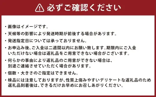 ＜ R8年熊本地震復興支援 ＞みかん 約5kg （ 35個 ～ 50個 ） ミカン 果物 くだもの フルーツ 柑橘類 柑橘系 柑橘 果実 果汁 果肉 国産 熊本県産 【 2026年12月上旬～2027年3月下旬発送予定 】