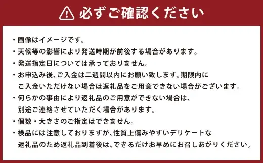 ＜ R8年熊本地震復興支援 ＞新玉ねぎ 約10kg （ 15個 ～ 20個 ） 玉ねぎ たまねぎ タマネギ 玉葱 オニオン 野菜 やさい 旬 国産 熊本県産 【 2027年1月上旬～3月下旬発送予定 】