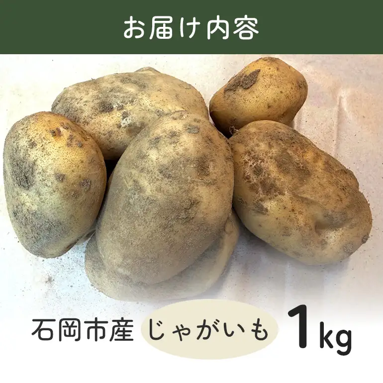 じゃがいも (トヨシロ) 1kg 産地直送 茨城県 石岡市 B03-018