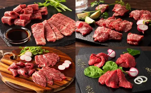 ＜ R8年熊本地震復興支援 ＞希少部位と贅沢なふじ馬刺し厳選セット （ ふじ馬刺しメン ・ 大トロ ・ 中トロ ・ ヒレ ・ ロース ・ ランプ ・ 上赤身 ・ フタエゴ ・ バラヒモ ・ チョーチン ・ ミスジ ・ トウガラシ ・ ユッケ ・ ネギトロ ） 馬刺し 馬刺 お肉 肉 馬肉 馬 タレ付き 食べ比べ 冷凍