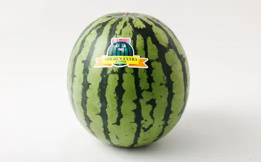 ＜ R8年熊本地震復興支援 ＞熊本うえきスイカ 1玉 （ 約10kg ） スイカ すいか 西瓜 大玉スイカ 大玉 果物 くだもの フルーツ 果実 果肉 国産 熊本県産 甘み 【 2027年4月上旬から6月下旬発送予定 】