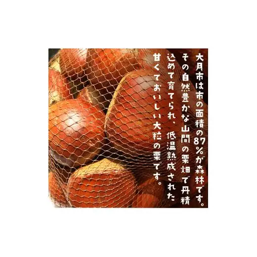 大きな栗のぽろたん　とっても甘い低温熟成栗　