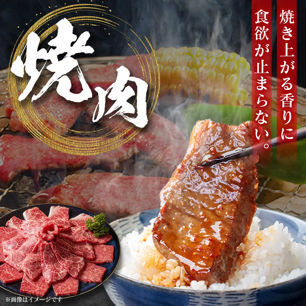 宮崎牛 プレミアム定期便 全3回 肩ロース 牛モモ ロースステーキ 焼肉 スライス 黒毛和牛 E272