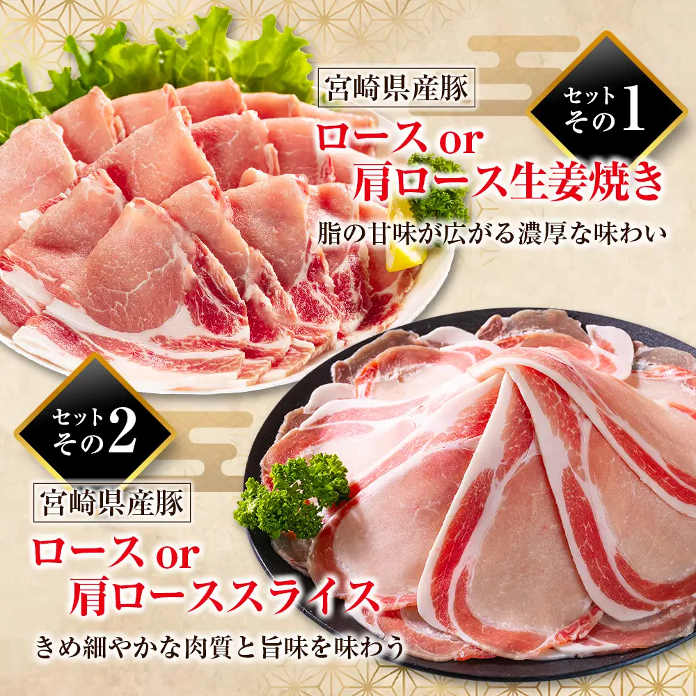 《総量10kg以上!!》豚肉 3回 隔月 定期便 バラエティセット 宮崎県産 食べ比べ 国産 E273