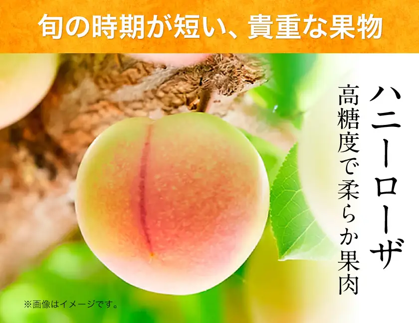 糖度17度の甘さ♪ハニーローザアイスクリーム 120ml 12個 熊本県 玉名郡 玉東町 すもも ハニーローザ アイス ぷらっとぎょくとう