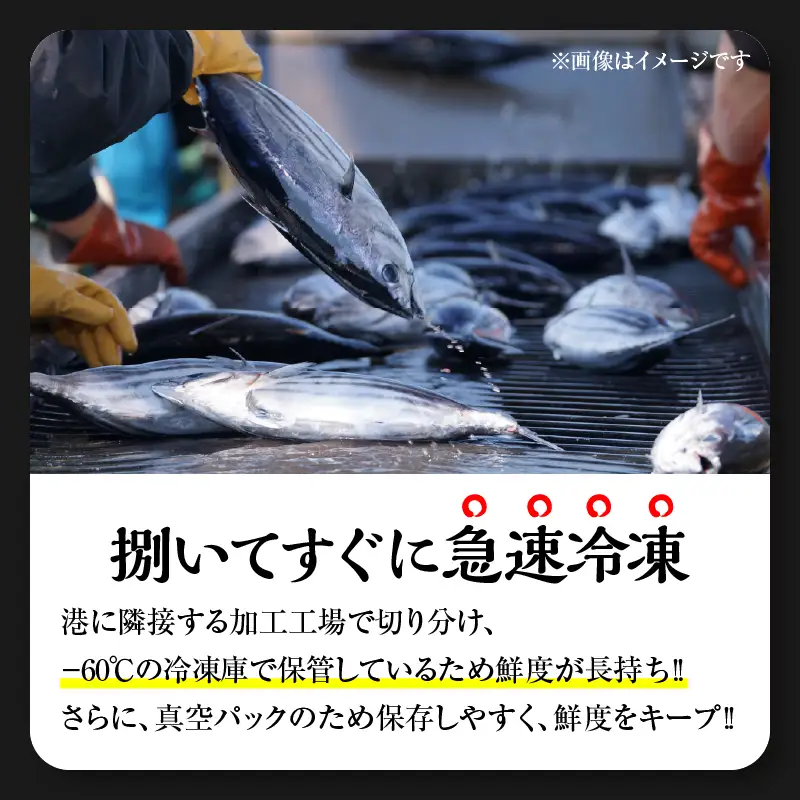 塩麹カツオの刺身 たたき 食べ比べができる 発酵カツオ 詰め合わせ セット 計570g 魚 魚介類 惣菜 加工品 海鮮 食品 国産_CBV3-26