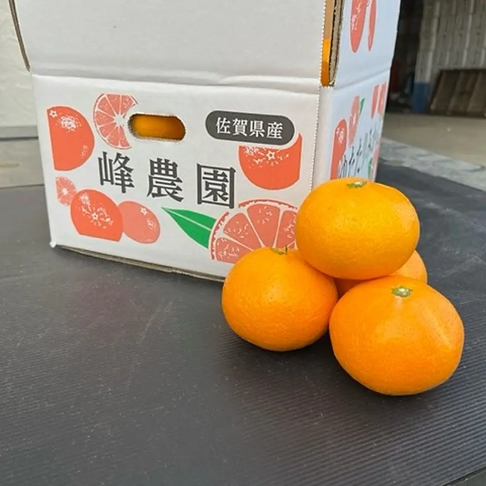 峰農園のゆたたりみかん 【 プレミアム 】 約5kg ミカン みかん 蜜柑 プレミアムみかん 柑橘 柑橘類 柑橘系 果物 くだもの フルーツ 果実 果肉 果汁 贈り物 プレゼント 国産 佐賀県産 【 2026年12月上旬～2027年1月下旬まで順次発送予定 】