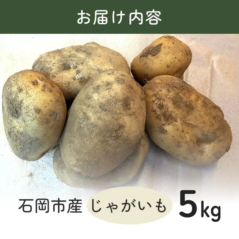 じゃがいも (トヨシロ) 5kg 産地直送 茨城県 石岡市 B03-020