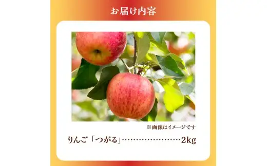 【先行予約2026年9月下旬より発送】りんご（つがる）2kg【北海道余市町産】甘口 ジューシー みずみずしい 秋果物 酸味少なめ 産地直送 しゃりっと食感 果肉やわらか_Y103-0099