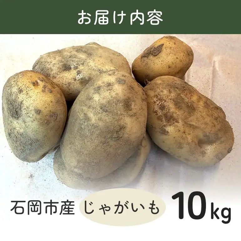 じゃがいも (トヨシロ) 10kg 産地直送 茨城県 石岡市 B03-021