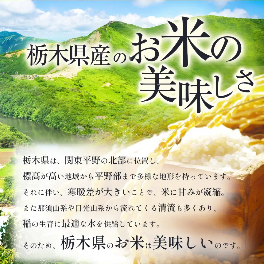 令和8年度 【定期便3回】こしひかり 5kg お米