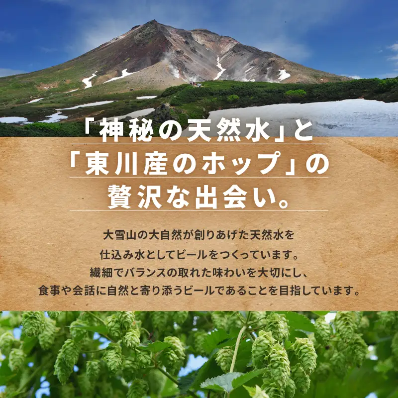 【Natures Brewing】クラフトビール「Deep Pow (West Coast IPA)」 3缶セット