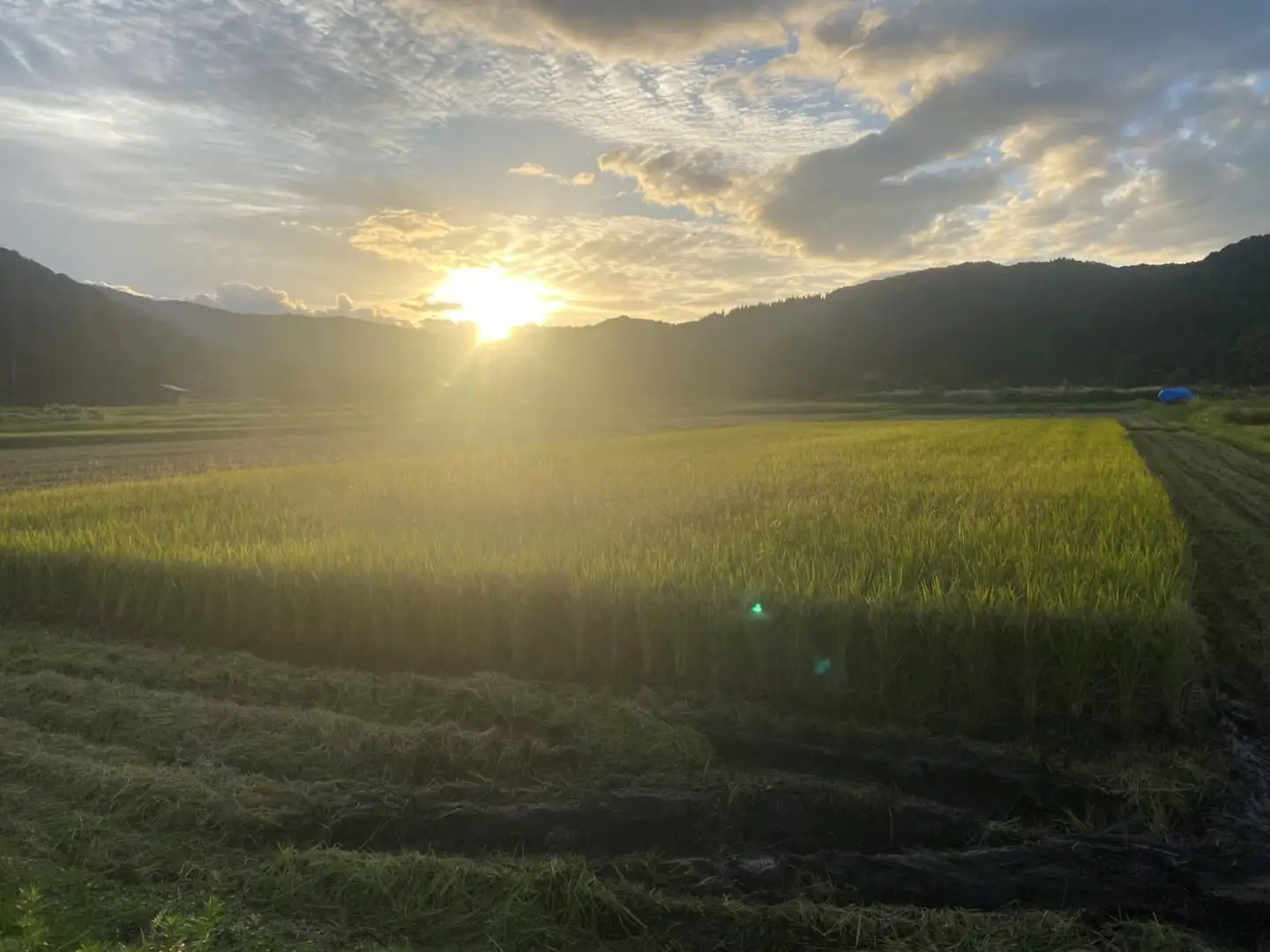【令和８年産米 先行予約】山形県小国町産　はえぬき10kg　きせつ家