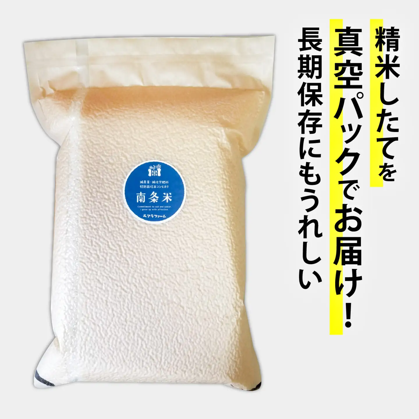 【令和7年産】南条米 特別栽培米コシヒカリ 真空パック 玄米 5kg