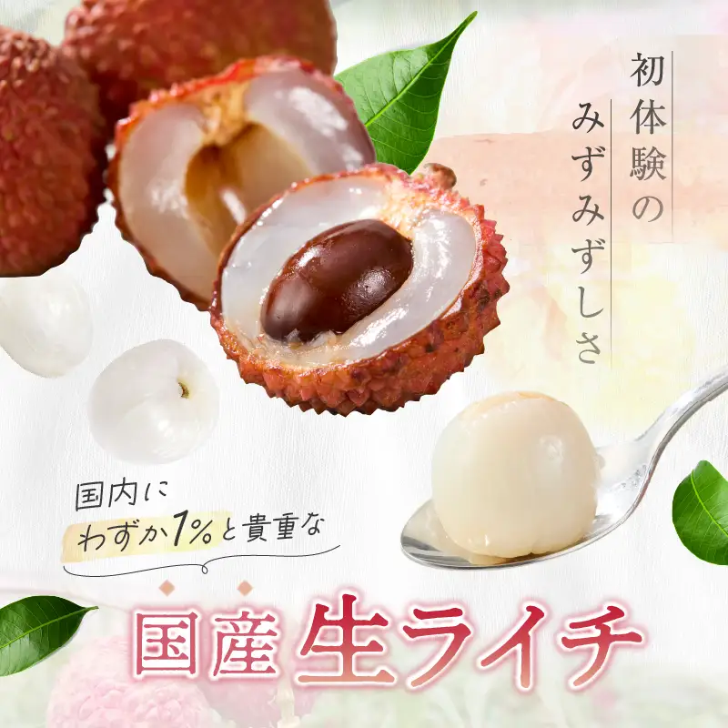先行予約 数量限定 希少 国産 綾生ライチ「クエイメイピンク」化粧箱入り 果物 フルーツ くだもの 国産ライチ 2027年 トロピカル 南国フルーツ 冷蔵 高級 デザート ギフト 贈り物 プレゼント ご褒美 おすすめ 宮崎県 送料無料 【JA綾町】_A0114-268