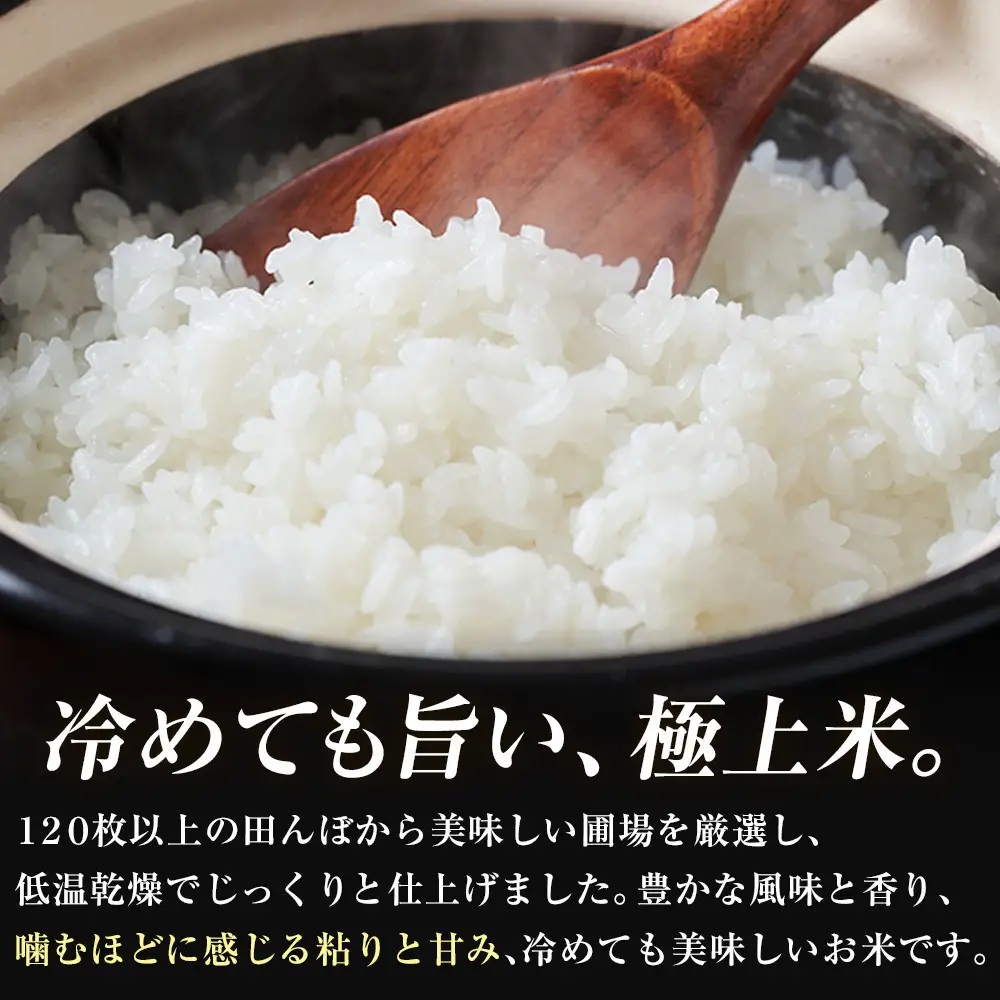 【先行予約受付】≪10月上旬発送≫令和８年産 大田原市 藤田farmのコシヒカリ【白米】10kg ｜栃木県産 米 お米  コメ こしひかり コシヒカリ 栃木県 【選べる容量】5kg 10kg  数量限定