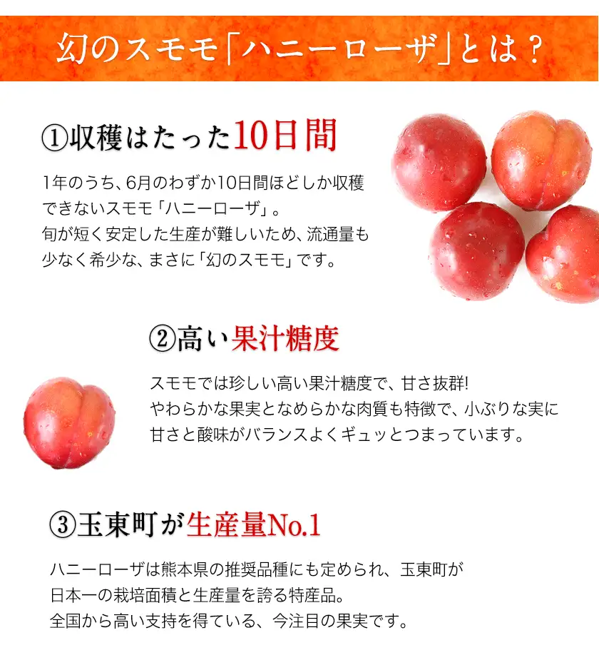 玉東町の自然に育まれたハニーローザをジャムに！【ハニーローザ】コンフィチュールセット3個 熊本県玉名郡玉東町 ぷらっとぎょくとう