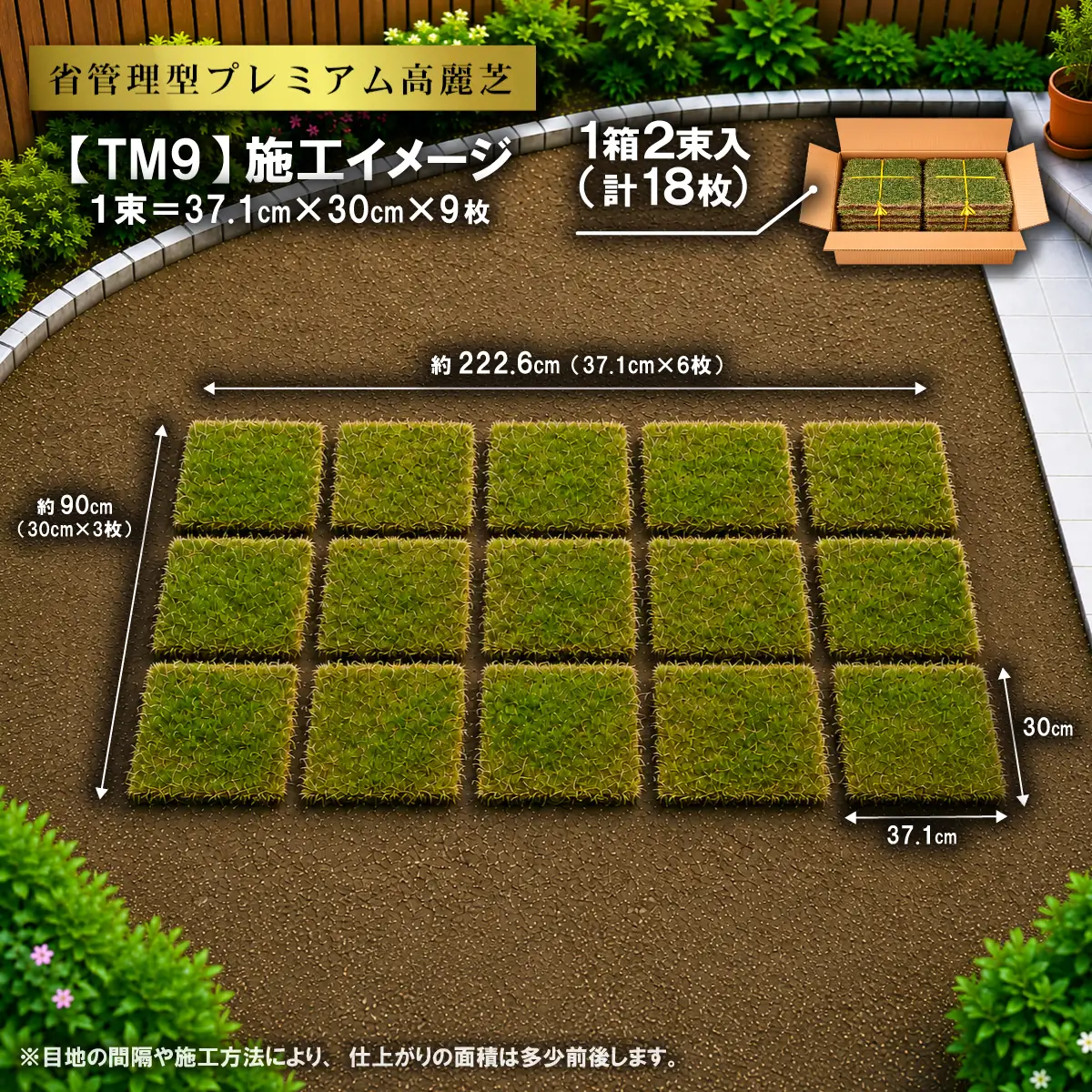 【先行予約】4㎡分 省管理型プレミアム高麗芝 「TM9（芝生）」コウライシバ ティーエムナイン 【2027年3月下旬頃から出荷予定】