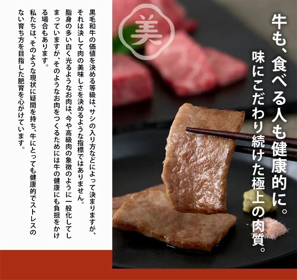 牛肉 美熊野牛 サーロインブロック 約1kg 牛肉 ステーキ【okad0024】