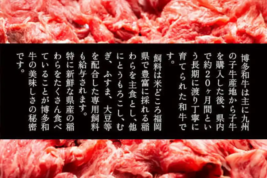 肉 博多和牛 切り落とし500g 6回 定期便