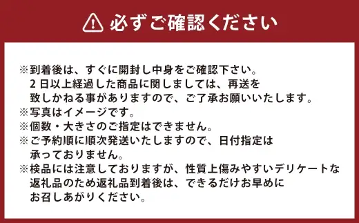 温州みかん 約10kg 2S ～ 2Lサイズ みかん ミカン 蜜柑 果物 くだもの フルーツ 柑橘 柑橘系 柑橘類 果実 果肉 国産 熊本県産 【 2026年11月上旬～12月上旬発送予定 】